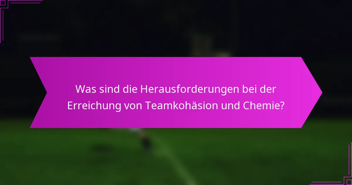 Was sind die Herausforderungen bei der Erreichung von Teamkohäsion und Chemie?